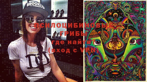 кокс Алзамай