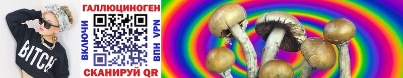 Галлюциногенные грибы Magic Shrooms  Переславль-Залесский 