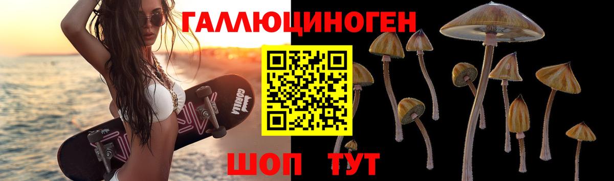 Переславль-Залесский  Псилоцибиновые грибы GOLDEN TEACHER  Псилоцибиновые грибы GOLDEN TEACHER  Вход с VPN 